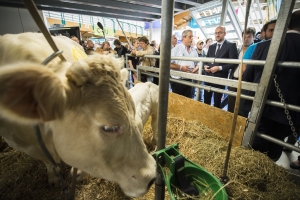 Besuch auf der Landwirtschaftsmesse von Libramont